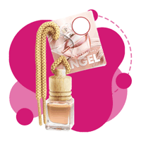 بوگیر ماشین